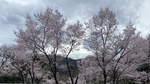 55755BD8-35C6-456A-AF49-A8C0BF9C7F45.jpg