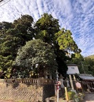 IMG_4008.jpeg